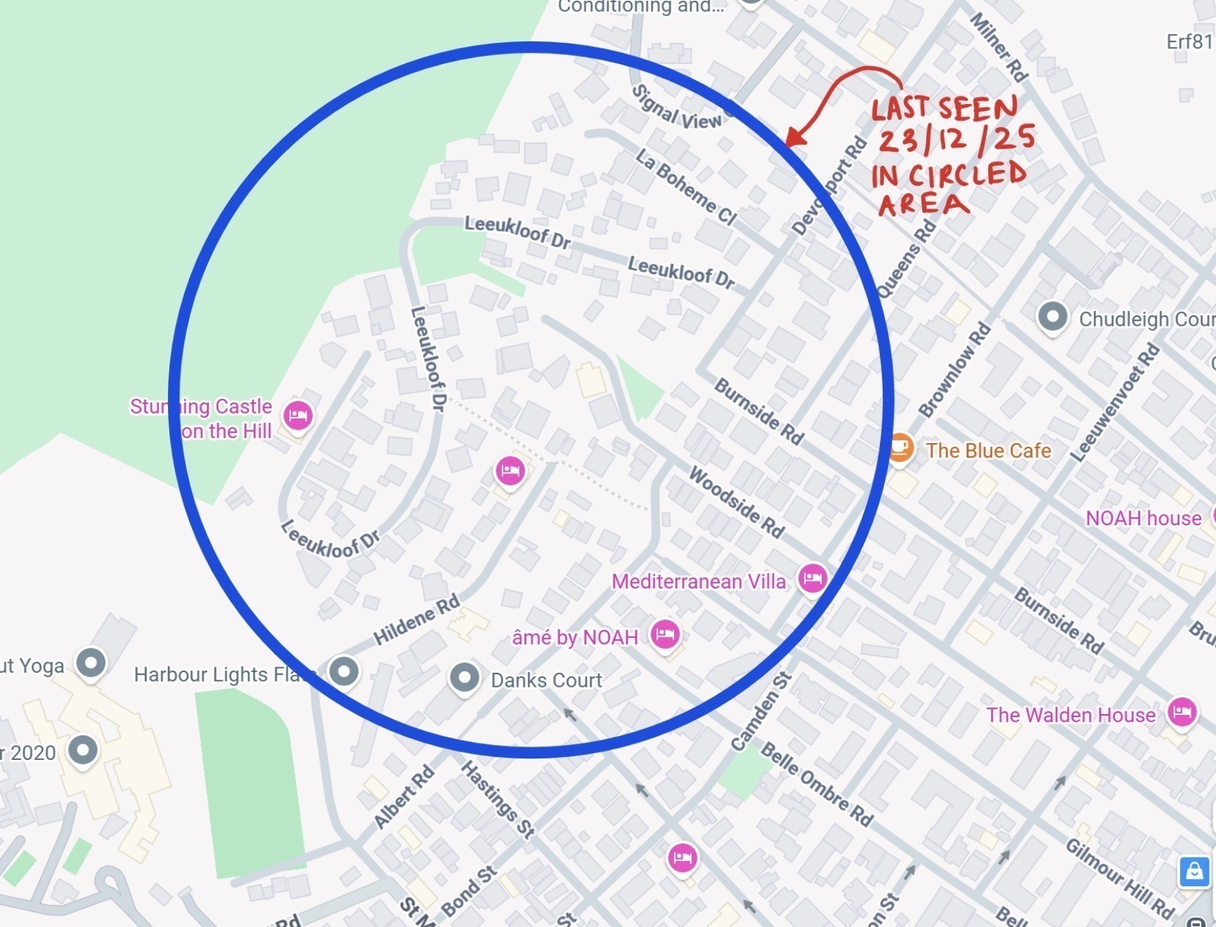 Help Find Bijou: Missing Birman Cat!